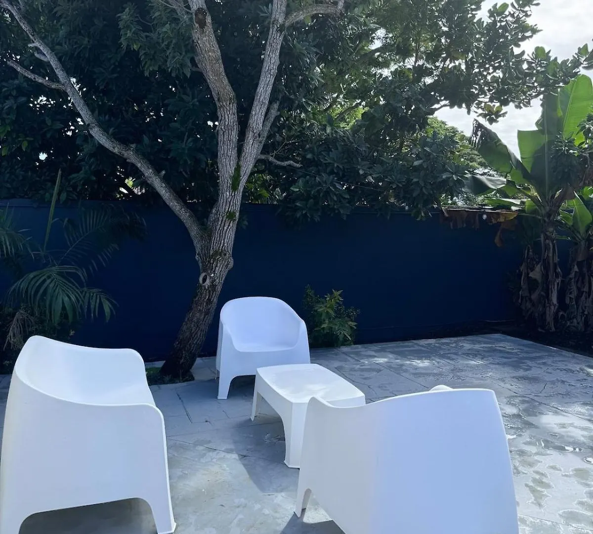 度假居 La Maison Aux Chapeaux 珀蒂堡 瓜德罗普